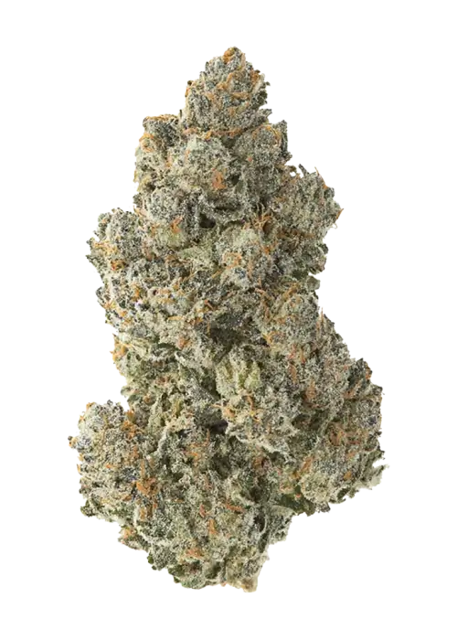 OG Chem