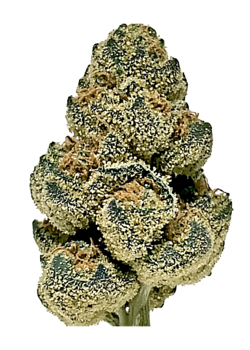 OG Chem