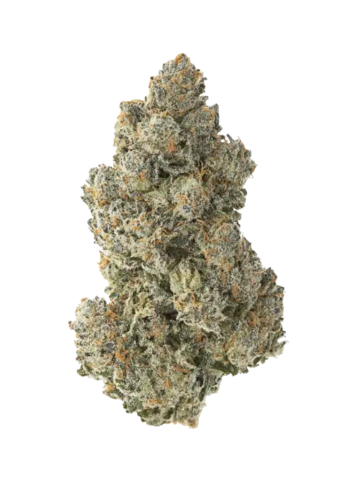 OG Chem