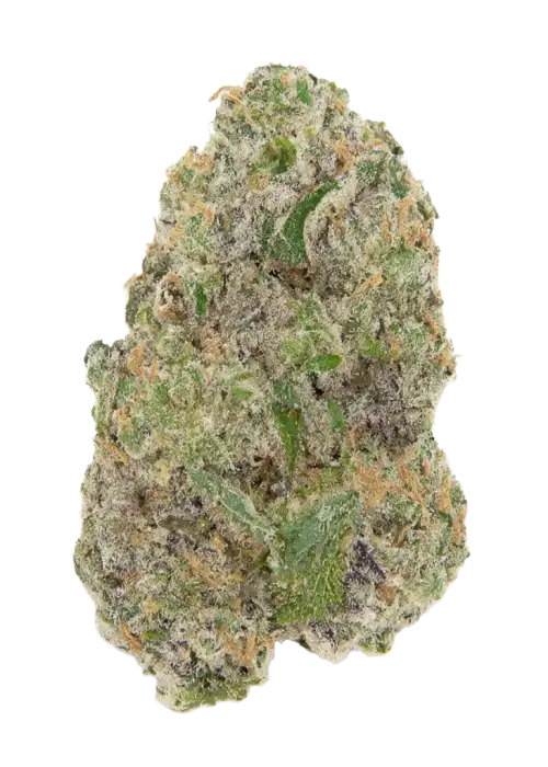 Oregon Lemons