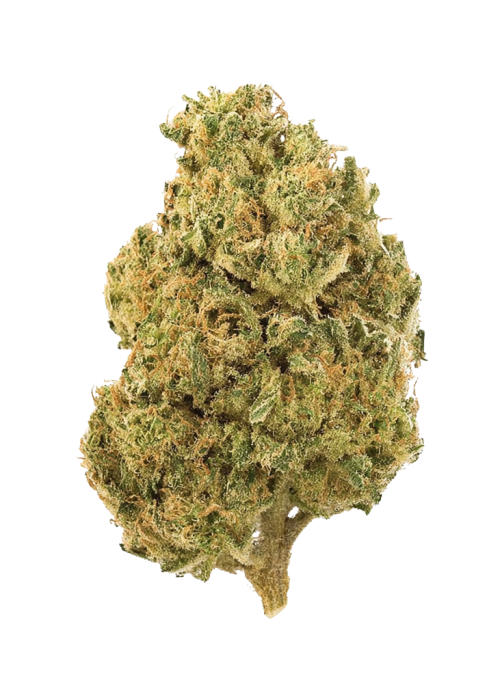 Romulan