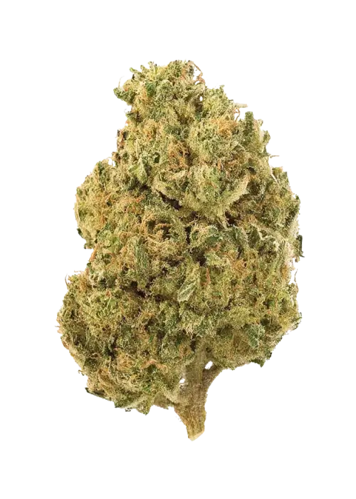 Romulan
