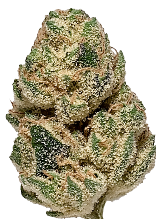 Romulan
