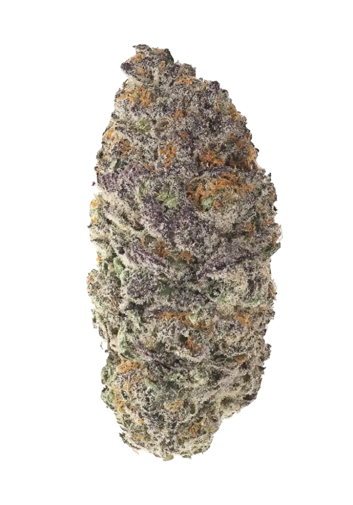 Azure Haze Cannabis Strain Information - GrowDiaries