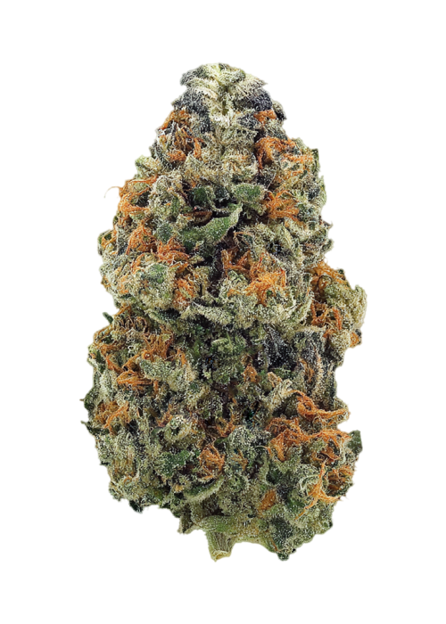 Alien Fritter
