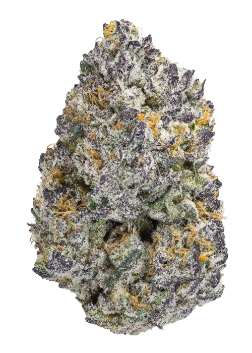 Jungle Canyon