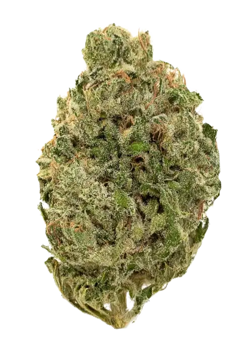 Rug Burn OG