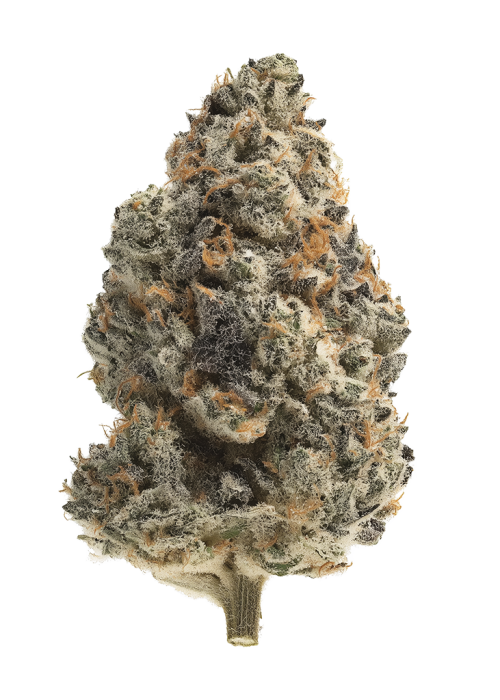 Maui Citrus Punch