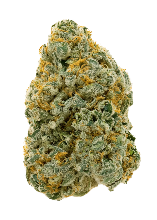 Lemon Bubba