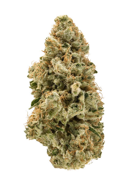 Chronic Thunder