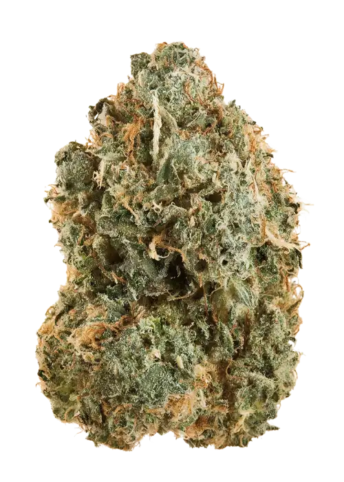 Panhandle Purps