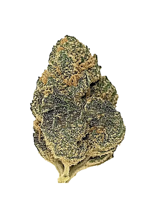 Sugar Cookies