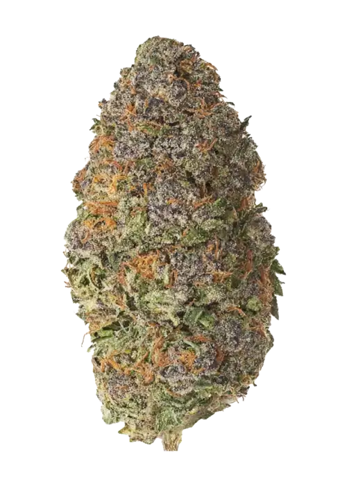 Candy Colada