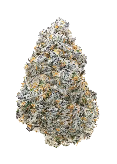 Tiger Paw