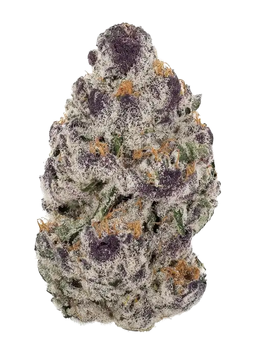 Grape Animals