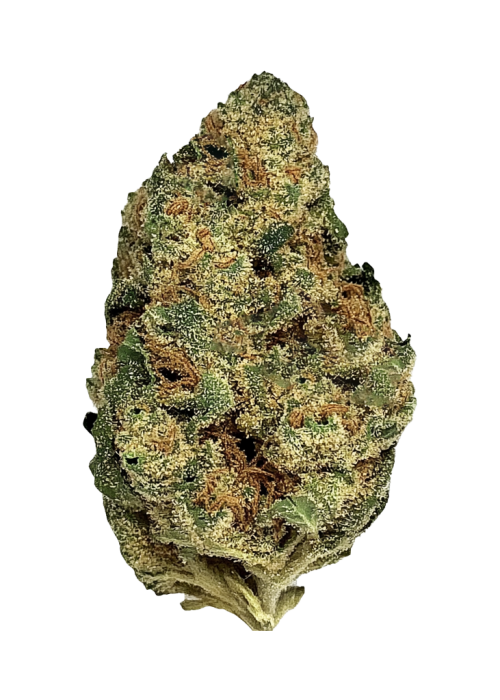 Black Jack™