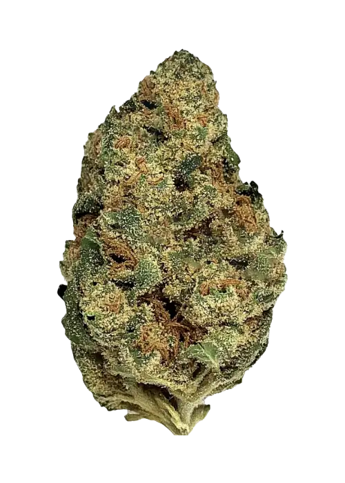 Black Jack™