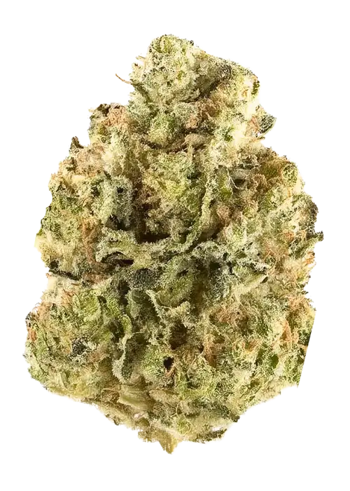 Grapefruit Romulan