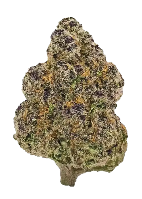 Kush Mints