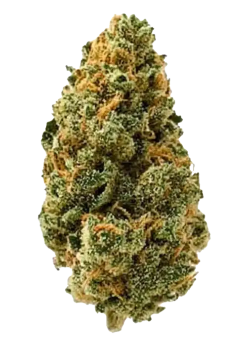 Big Bud