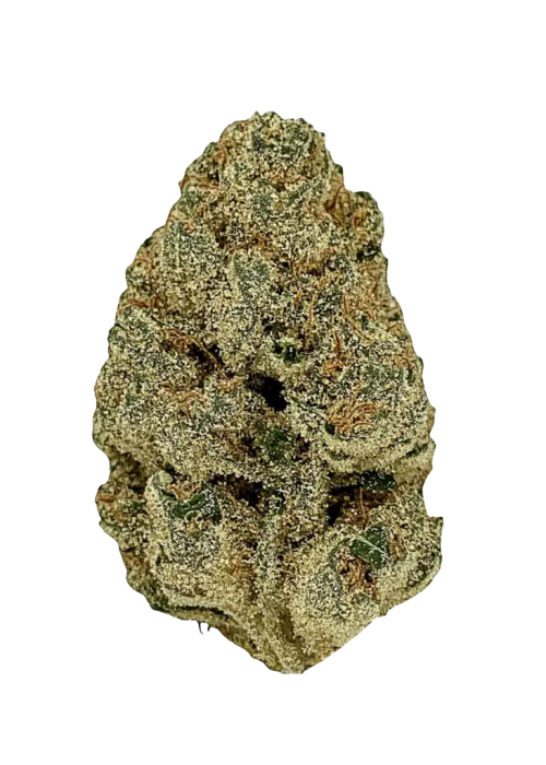 Gelato Runtz