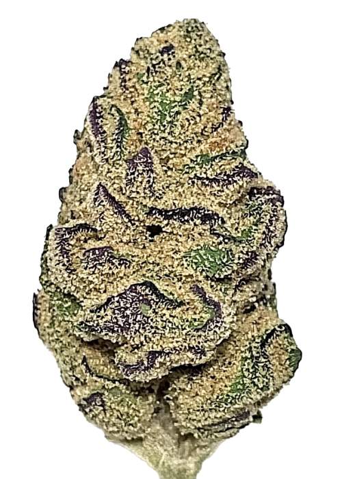 King's OG