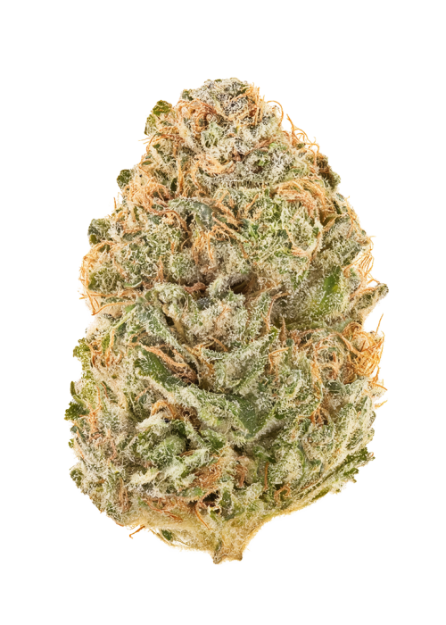 818 Headband