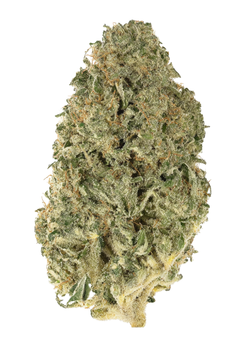 Hollywood Pure Kush