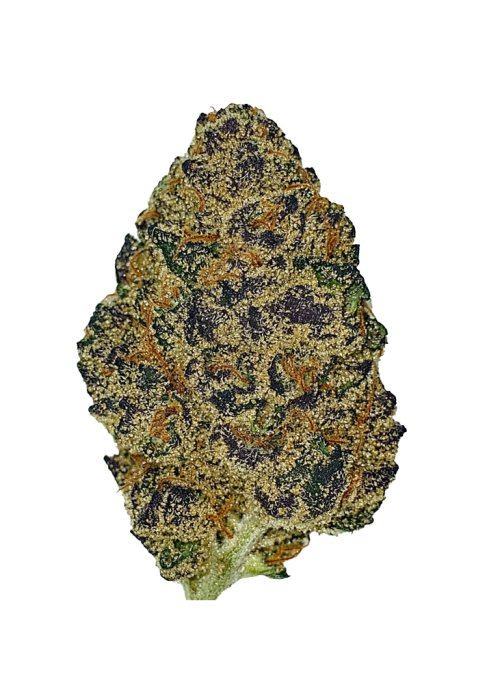 Black Cherry Soda
