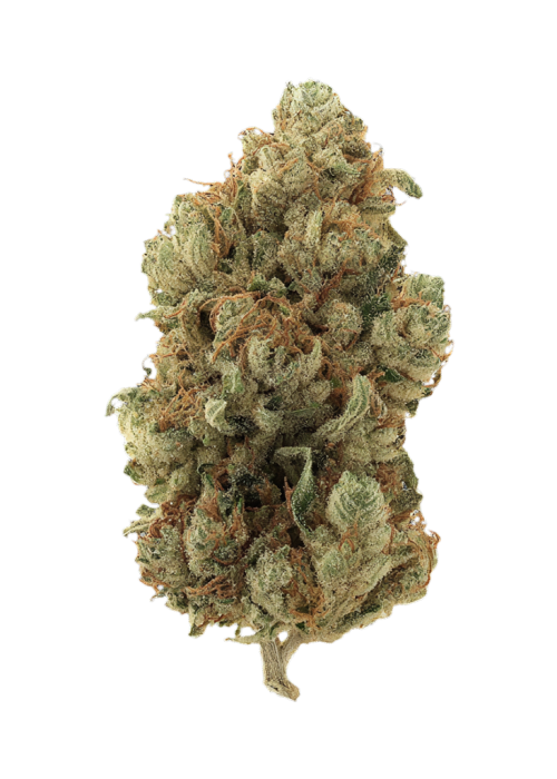 Louie XIII OG