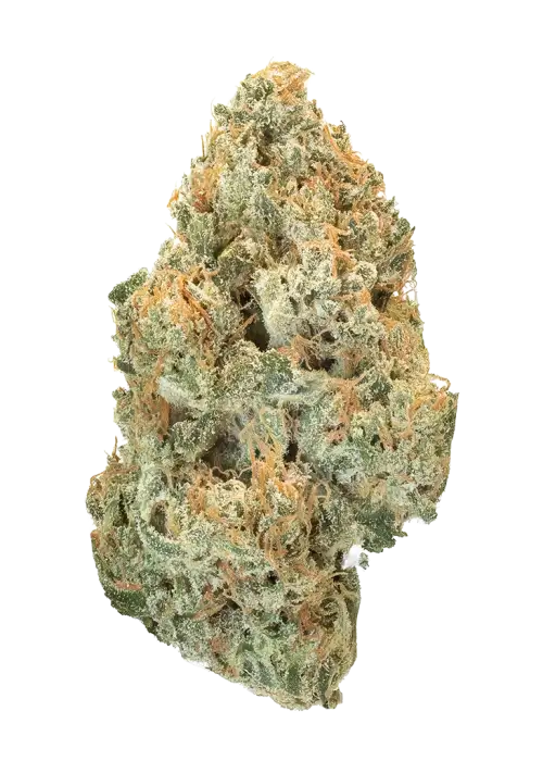 Gorilla Banana
