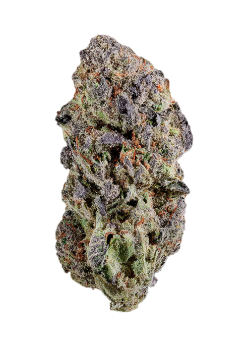 Zmokers Club