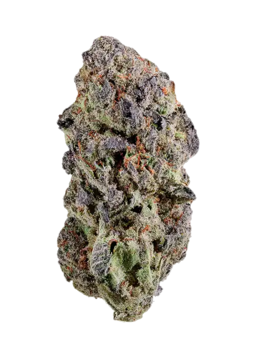 Zmokers Club