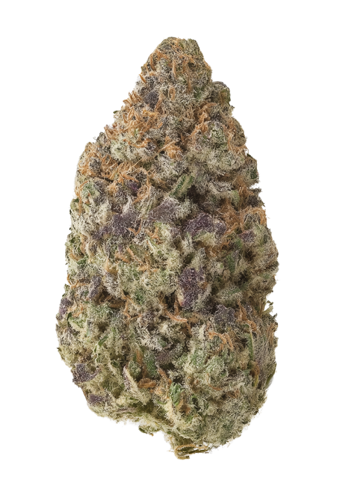 Strawberry Sugar