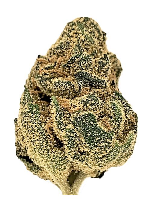 Island Sweet Skunk