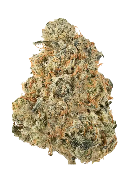 Petro Chem