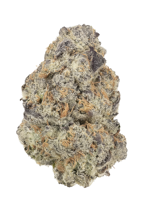 Purple Headband