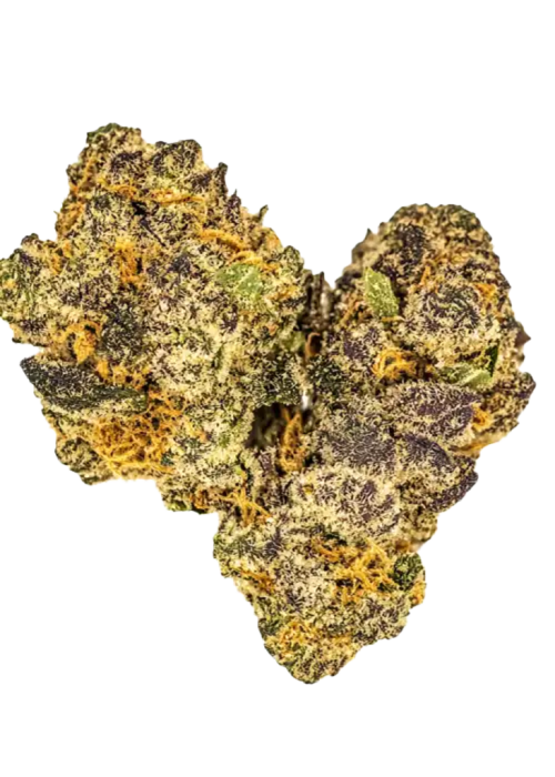 Gelato #41