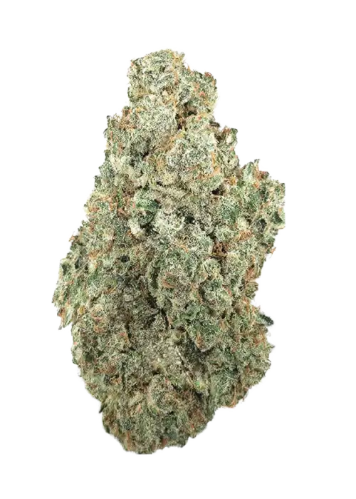 Rotten Fruit Cocktail