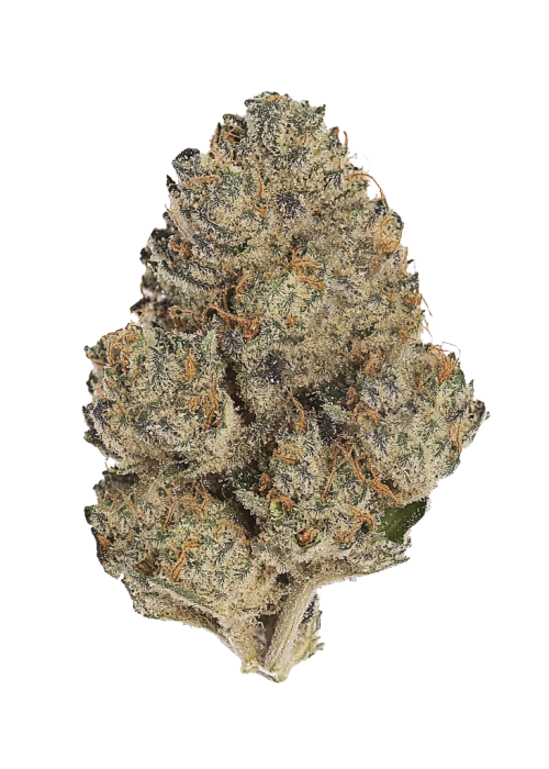 Platinum Kush
