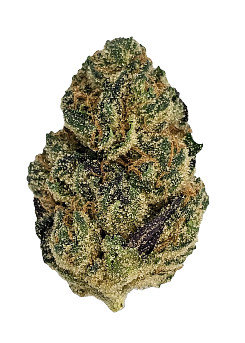 LA Pop Rocks