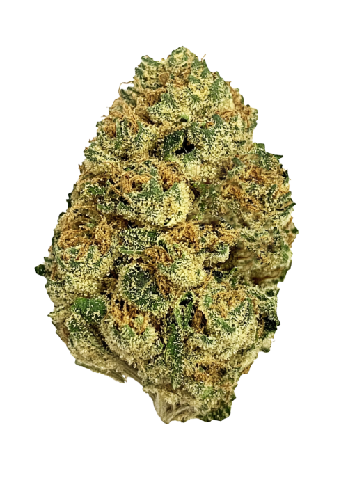 Pink Starburst