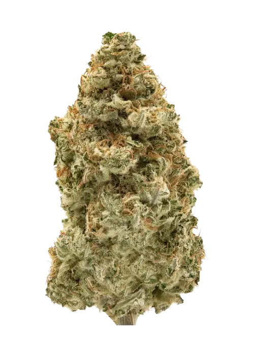 Legend OG