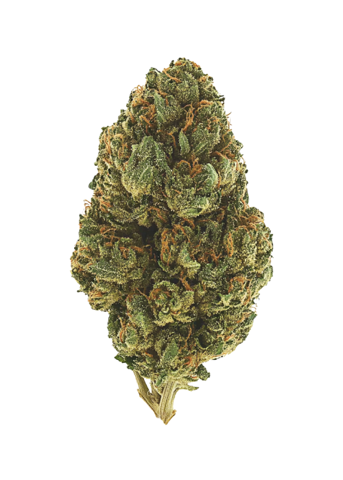 Legend OG