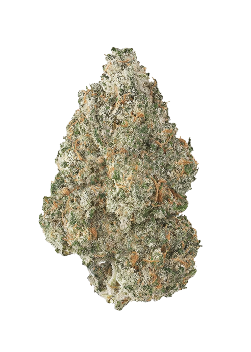 Gorilla Glue