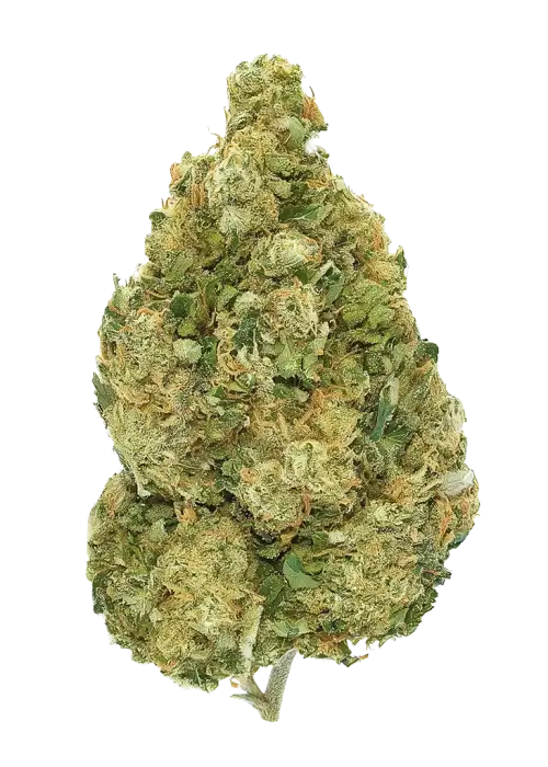 Quebec Gold