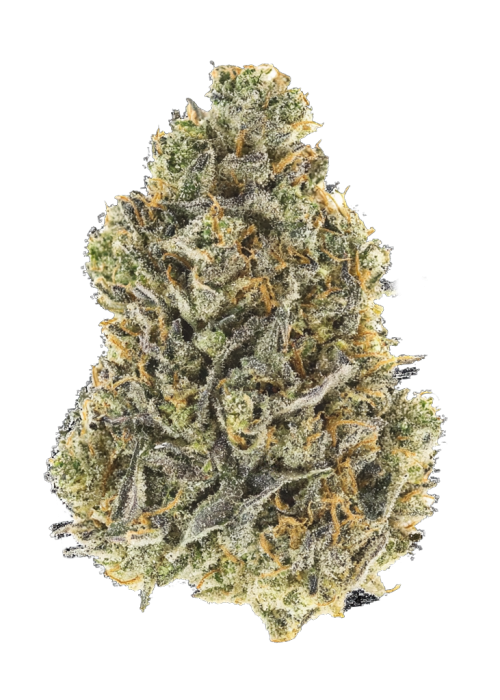 Fruit Pie