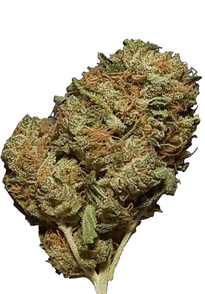 Amnesia Haze