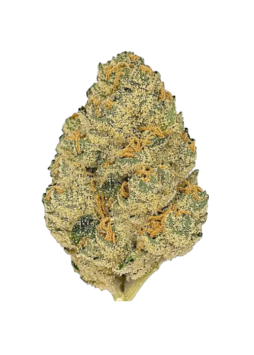 Berry Gelato