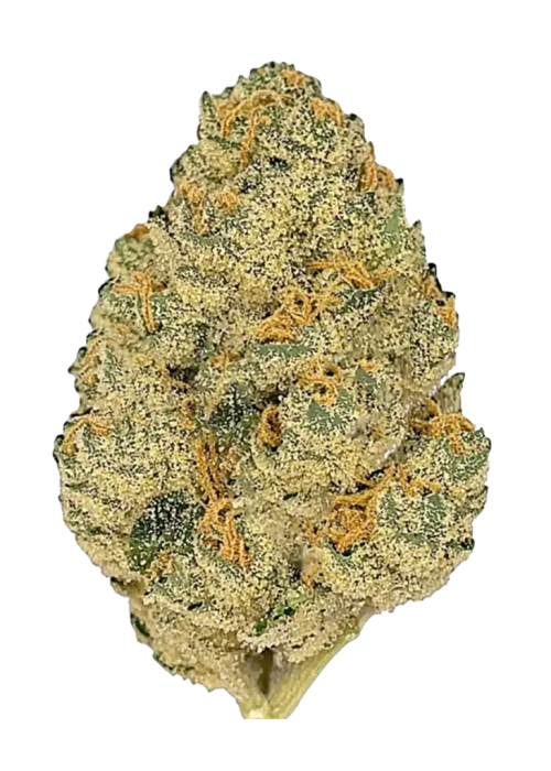 Blueberry Gelato